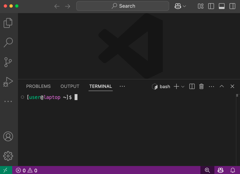 VSCode terminal